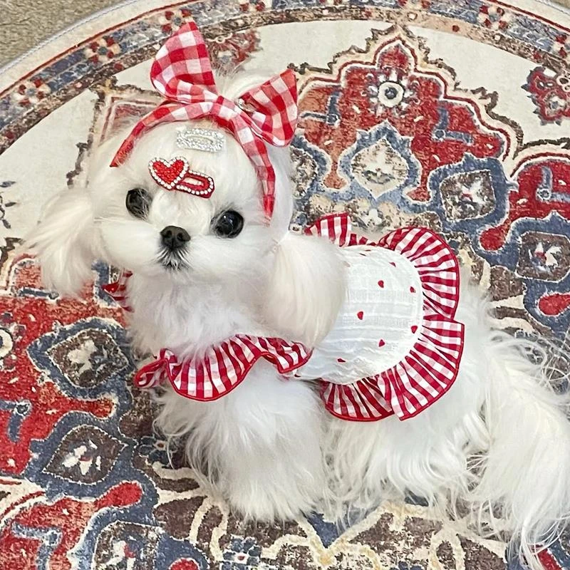 马尔济斯专用衣服小狗狗约克夏裙子夏天夏季薄款连衣裙超小体犬