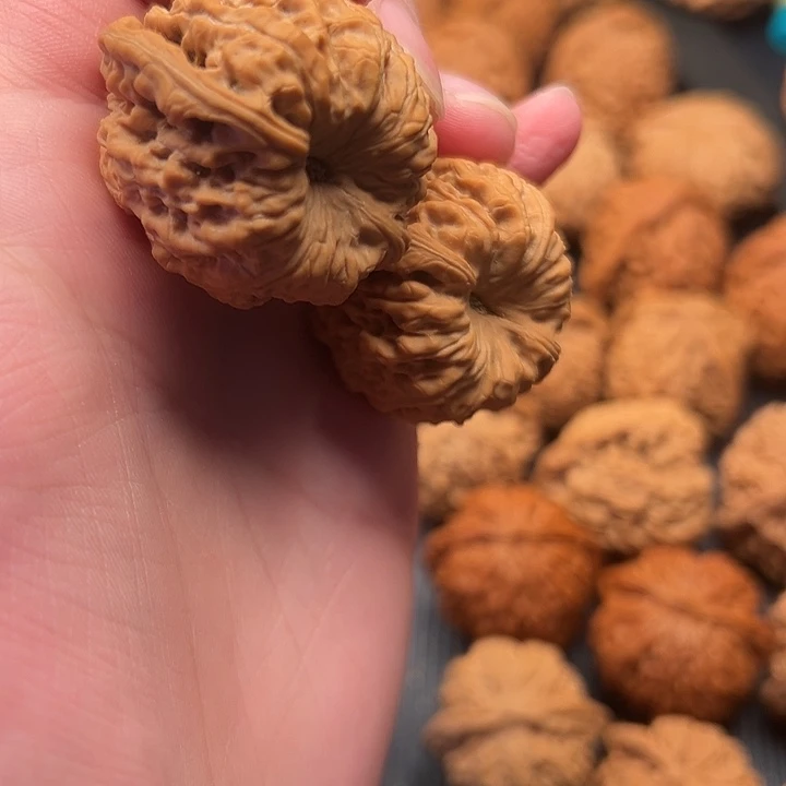 核桃深凹魔眼小官帽