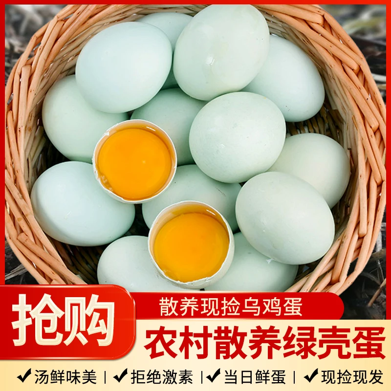农家散养乌鸡绿壳蛋健康营养现拍现捡农家美味