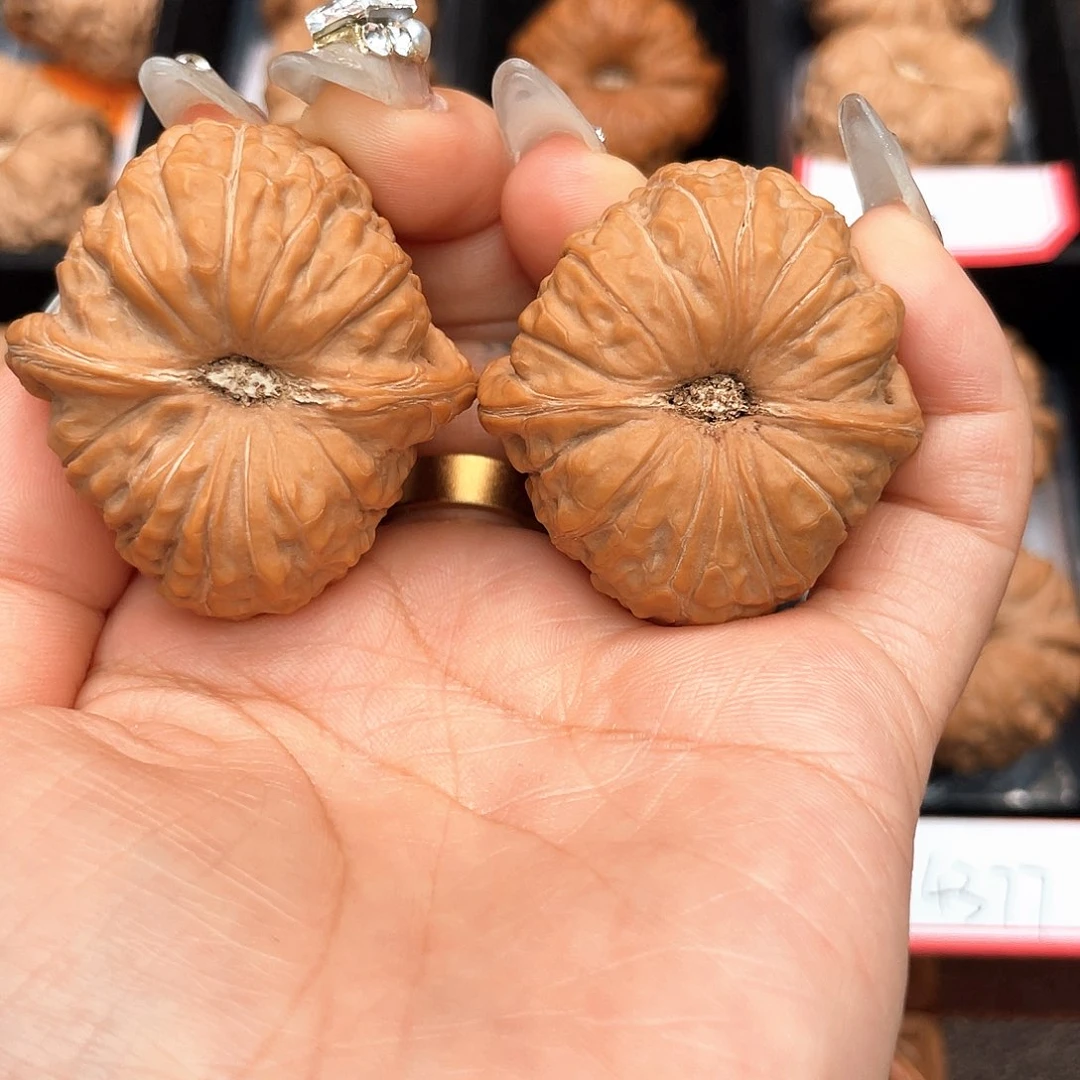 文玩核桃把件37深凹底大眼睛近正肩3701