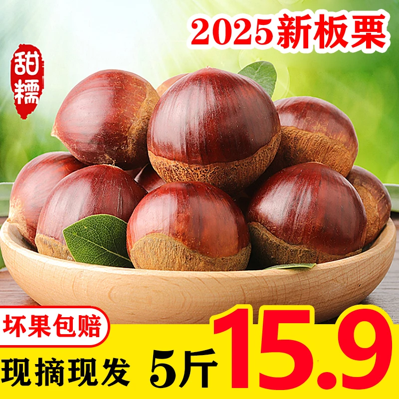 【山农自种】2025新鲜5斤高山老树大板栗生栗子营养甜糯面饱满天然