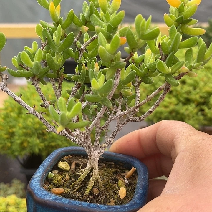 105。                       l