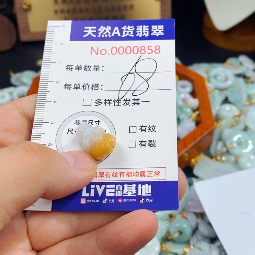 翡翠未镶嵌颈饰858