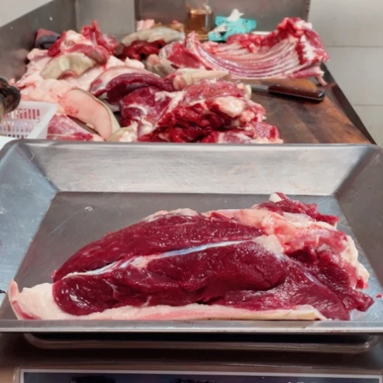 【闪购商品】冷冻保存30天包装河北省