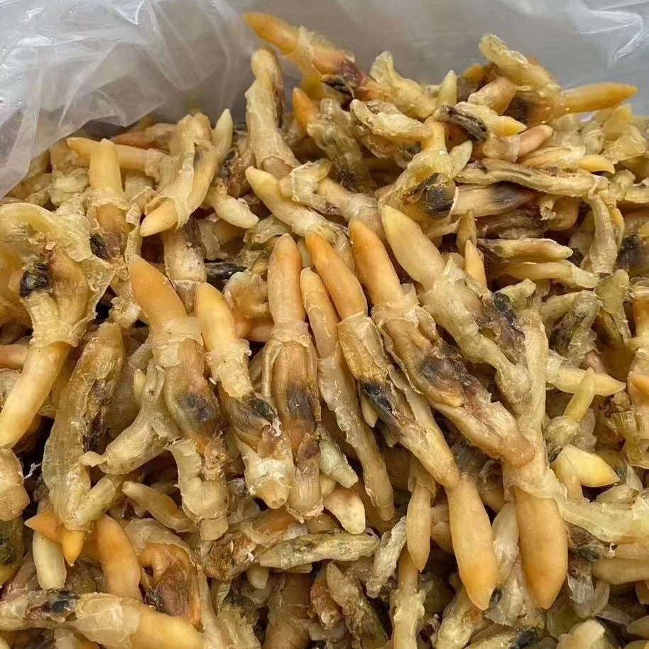 新鲜大个竹节蛏蛏王肉去壳无沙肉质肥嫩