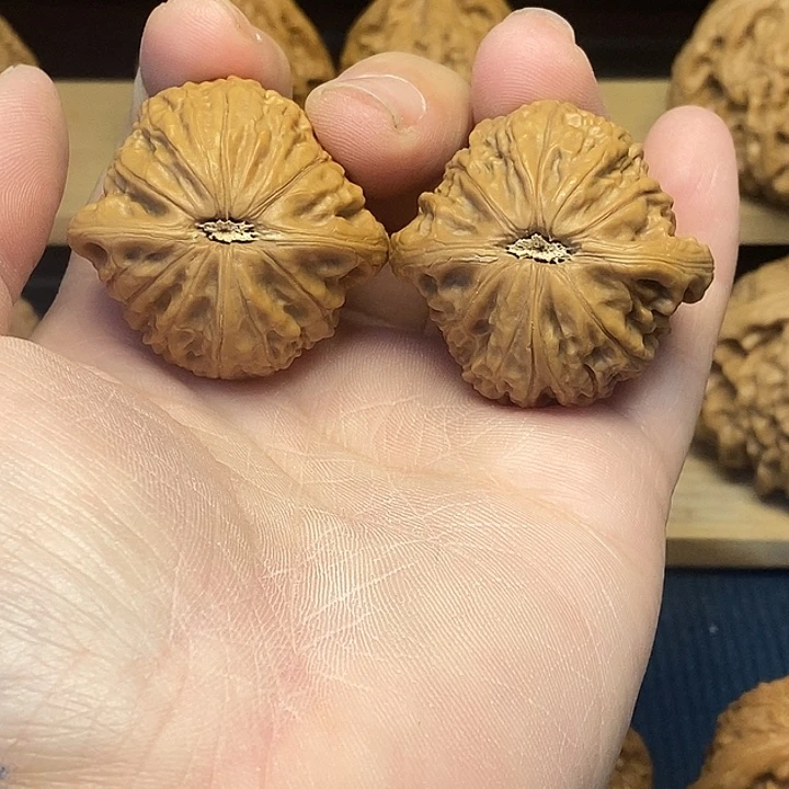 核桃39铁锤妹妹福利