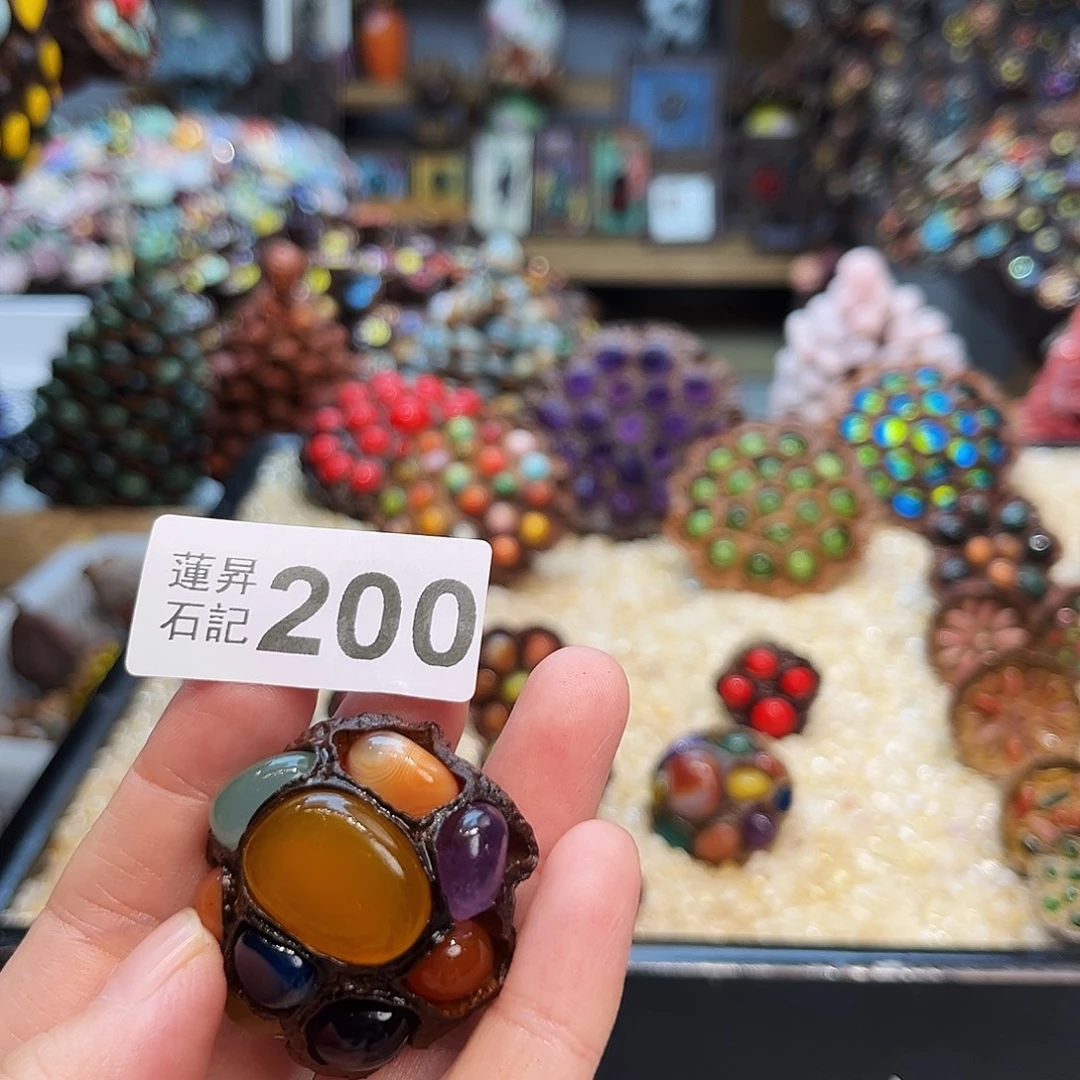 荷***圆核桃木/黑胡桃（胡桃木）200