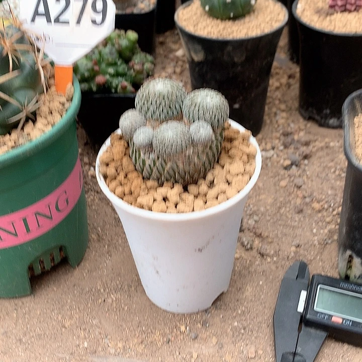 元*3333333333333333