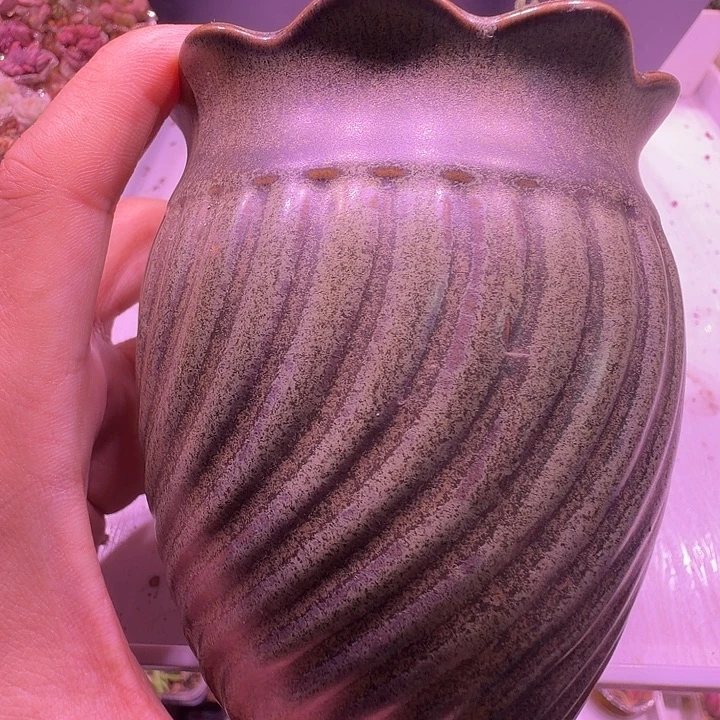 盆43，花边小老桩盆，多肉盆闲置处理福利出！