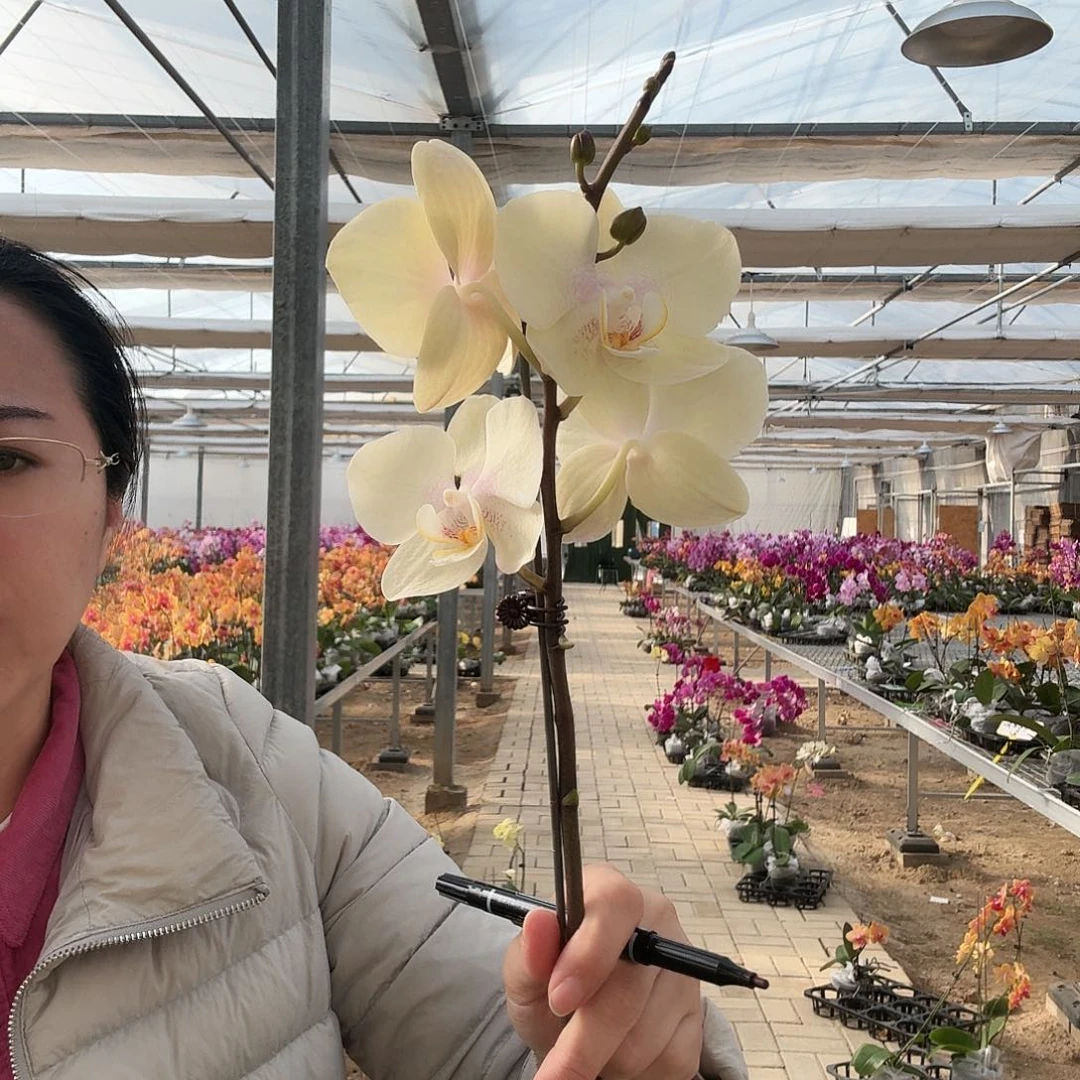 完全开放126一颗123