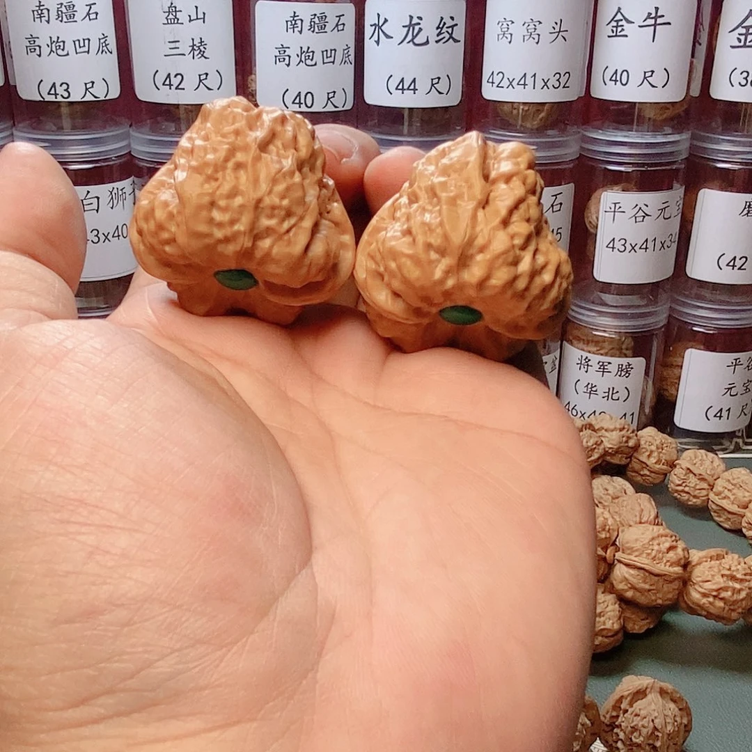 40尺寸三角箭毒蛙蛤蟆头