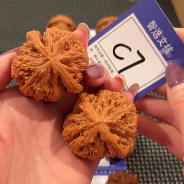 核桃C7号大粗筋4.4