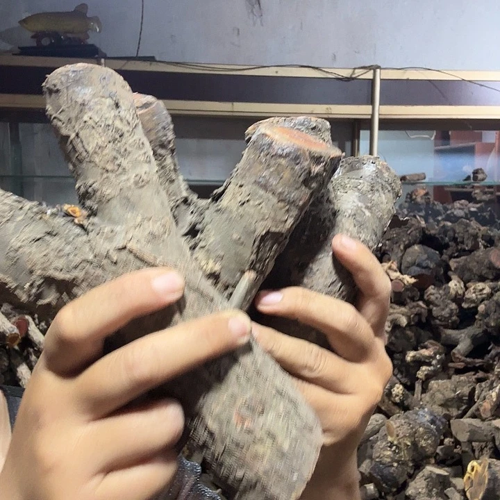 渣****香榧木火琉璃的故事是一个人的