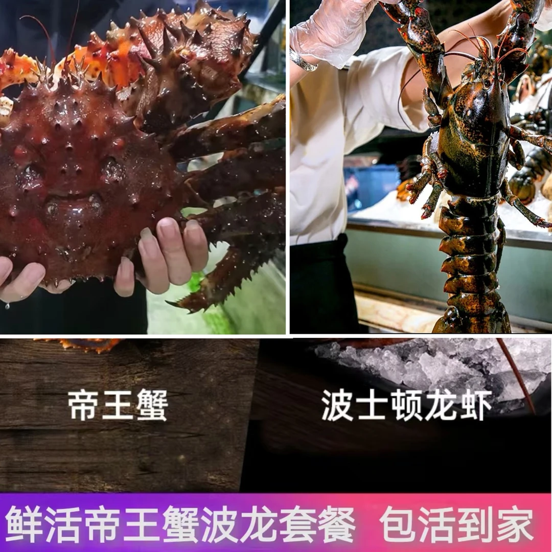 【帝王蟹套餐  包活到家 】花椒帝王蟹2.5-3斤+波龙2只 失水损耗5%