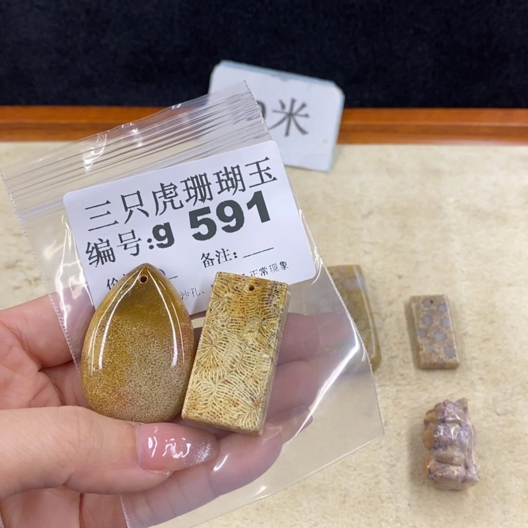 硅化珊瑚（珊瑚玉）未镶嵌11*灯