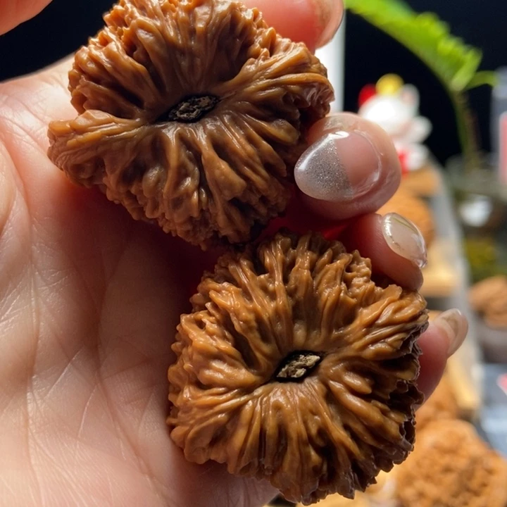 核桃手串/手链。***。45号拉丝高炮天残全品老核