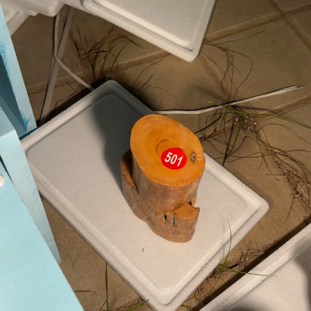 俞*全场盆景501号包邮