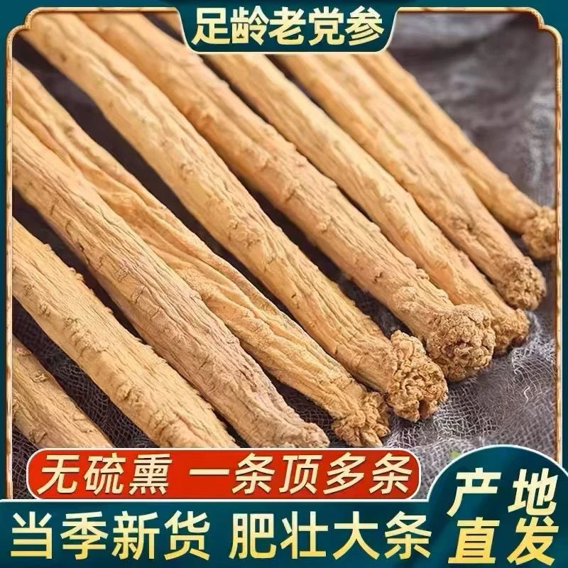 【岷县多年生党参特大条 】岷县原产地 整条煮粥炖肉煲汤煮水
