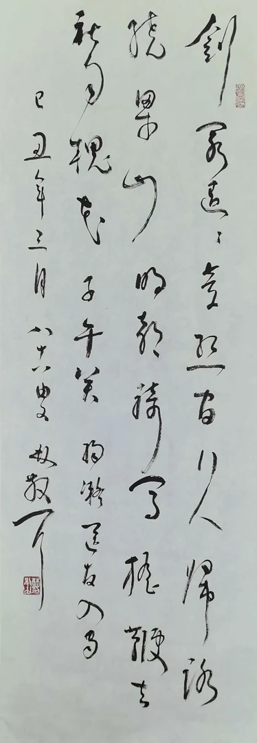 Lot 1014 林先生书法 纸本 尺寸96cmX35cm
