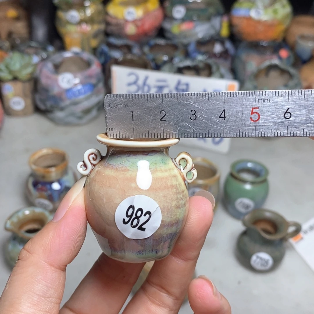 拍5送一个小礼物