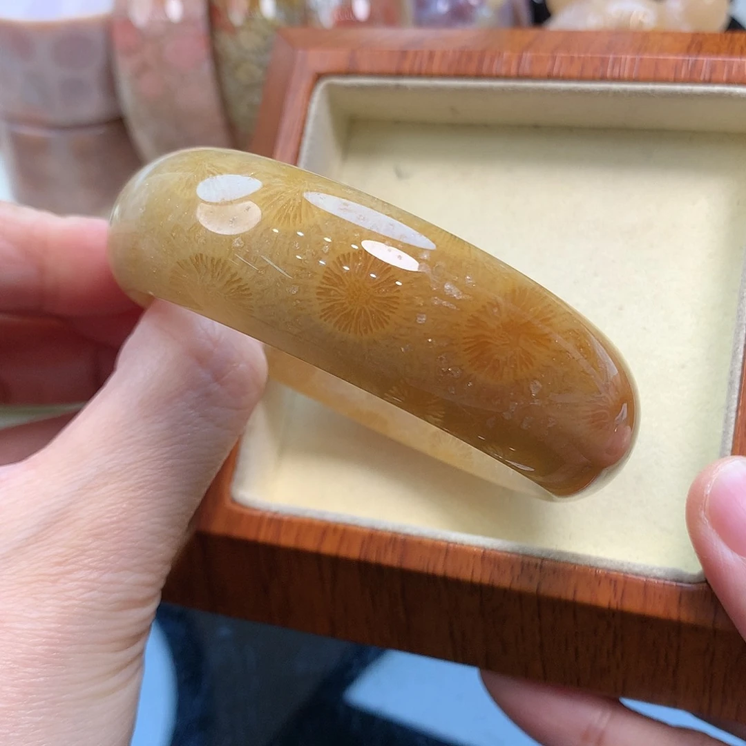 未镶嵌手镯硅化珊瑚（珊瑚玉）62口大漏800