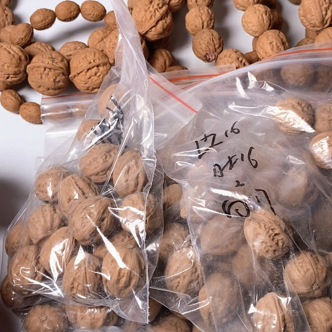 核桃手串/手链八棱