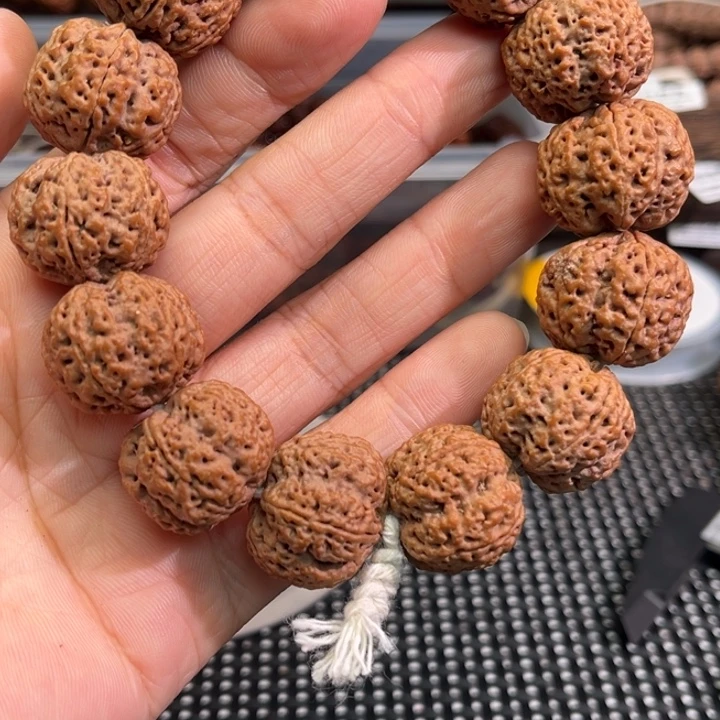 手串金刚菩提爆肉