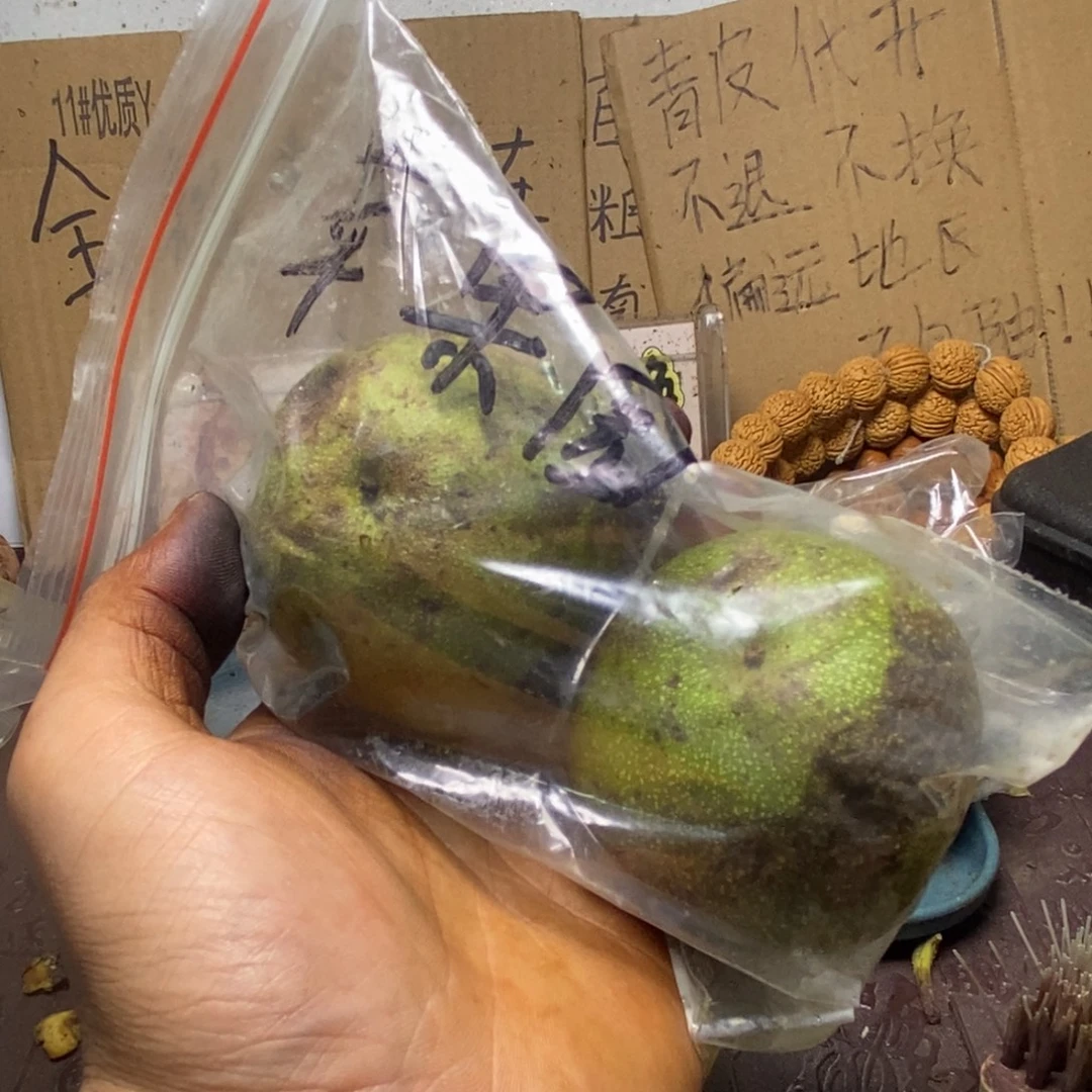 Zjc产地直发苹果园22