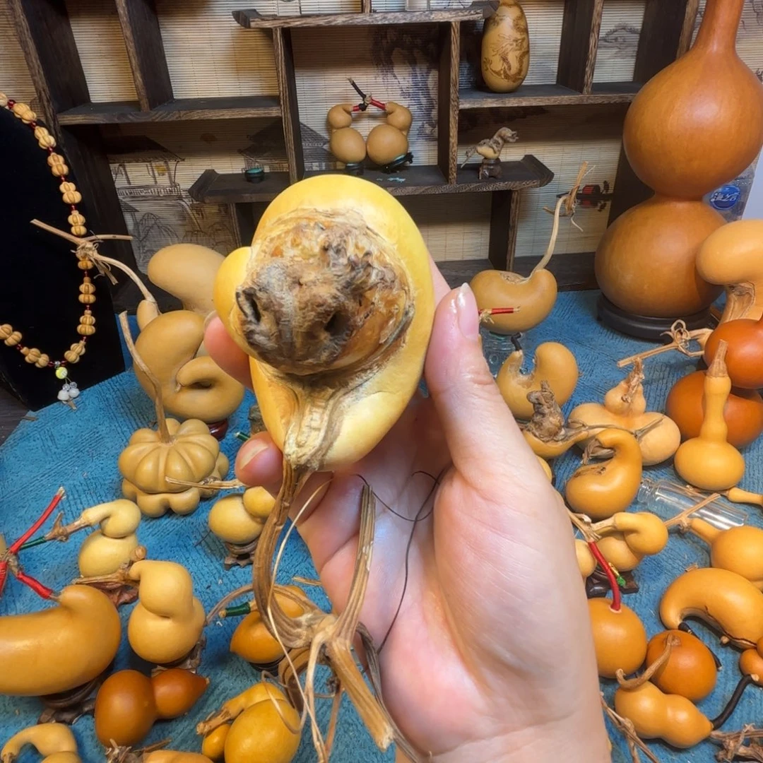 解***米精品腰子嘎嘎帅哦