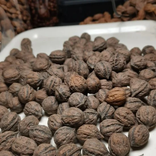 文玩核桃吊坠东北楸异形籽桃16