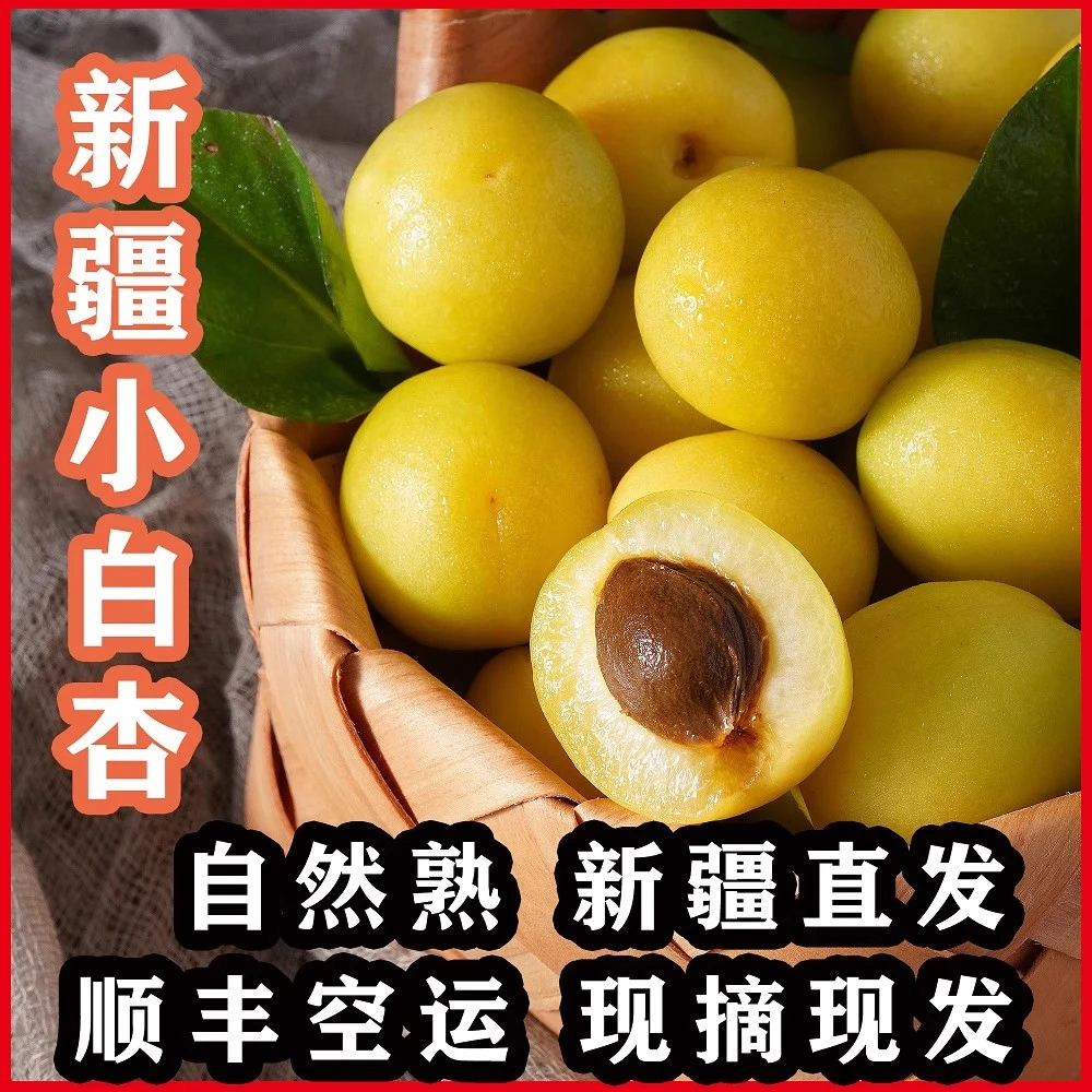 新疆小白杏轮台新鲜水果库车白杏子甜杏特产当季整箱顺丰包邮杏子