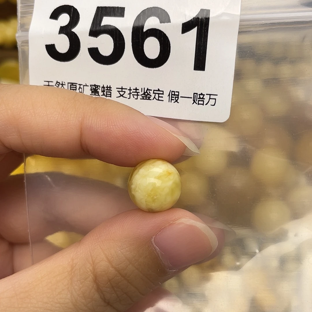 未镶嵌蜜蜡珠宝奇石12.4