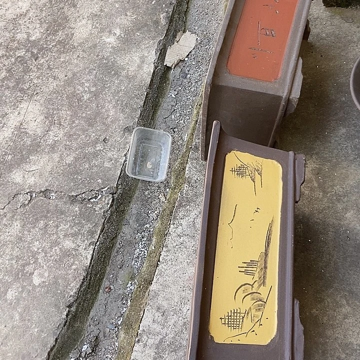 紫砂花盆世**凉50花盆花盆花盆花盆花盆花盆