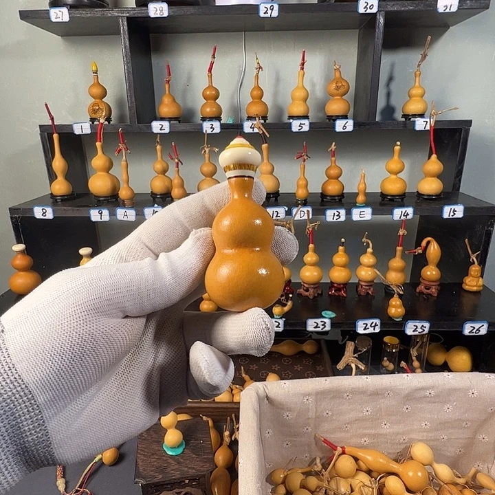 余***林有机玻璃蚂蚁蚂蚁蚂蚁蚂蚁