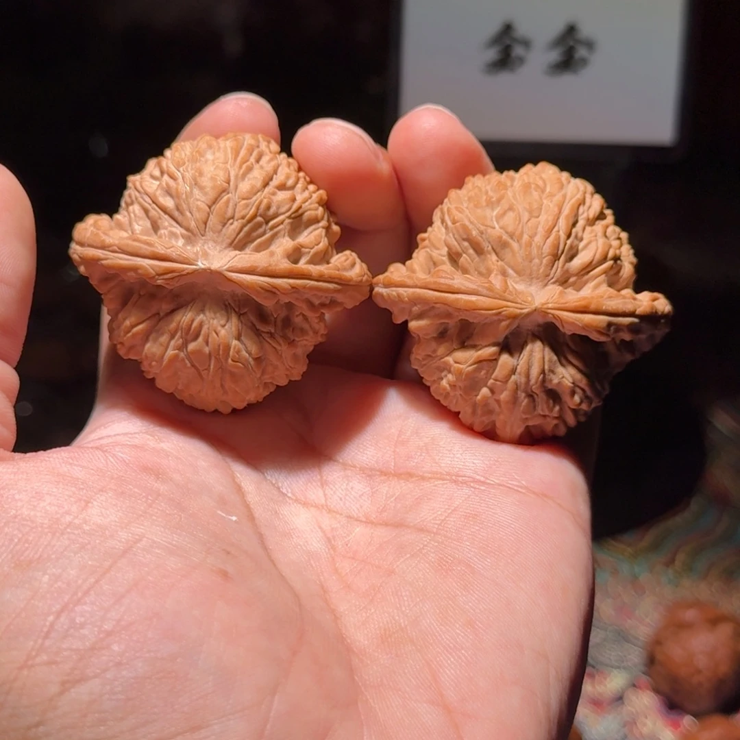把件核桃1457粗筋闷白，尺寸49 46 37