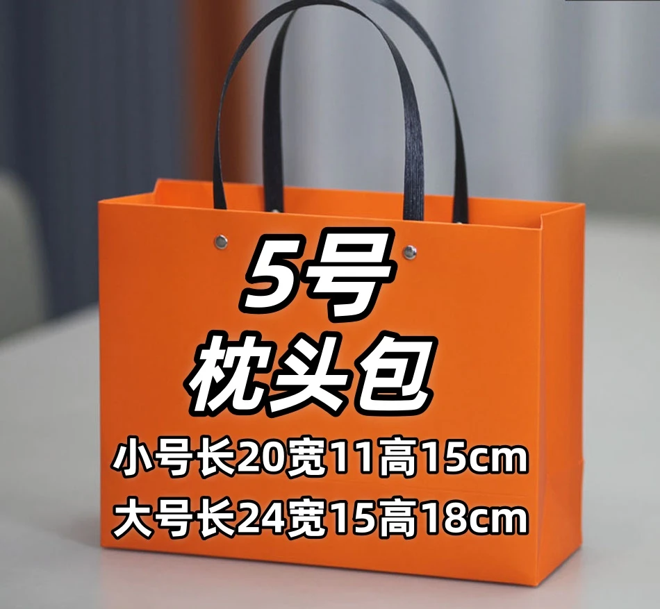 【5号】BT 2025新款时尚简约百搭单肩网红休闲枕头包A6556-6