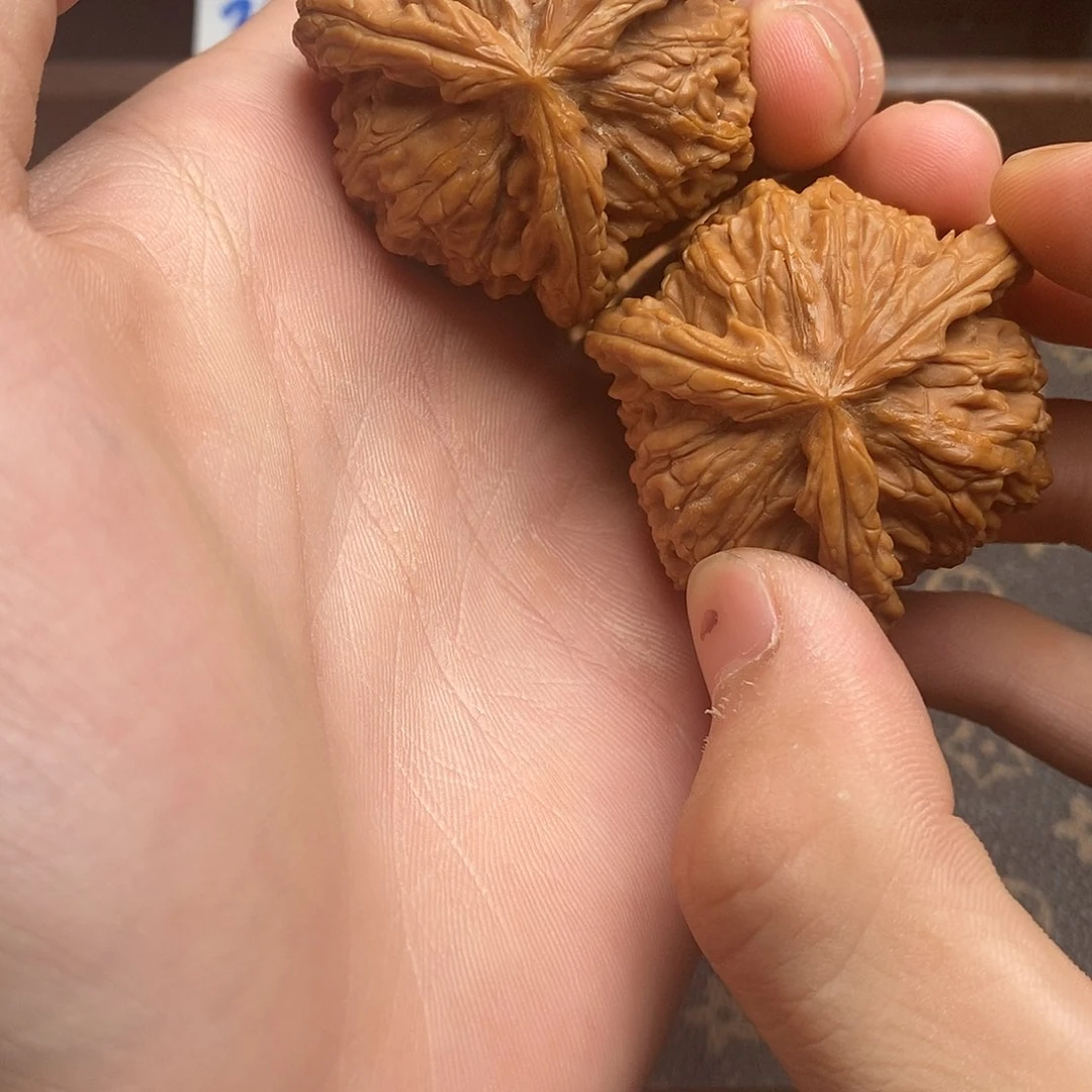 花*白狮子111111111111111