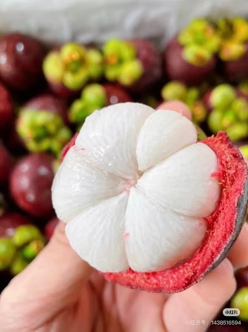 空运【进口多汁山竹】泰国进口新鲜甜糯多汁老树麻竹 纯甜好吃水果