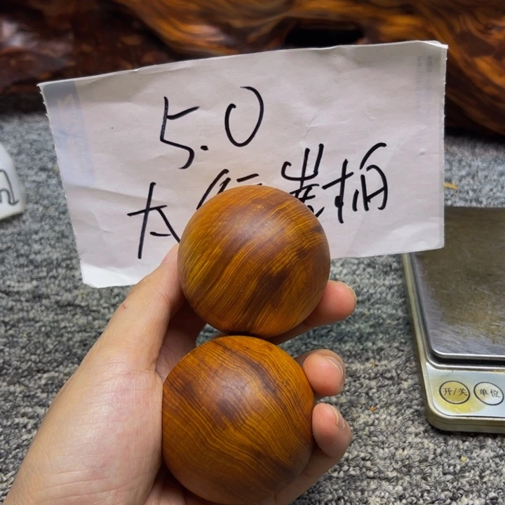 柏木（崖柏）崖柏90