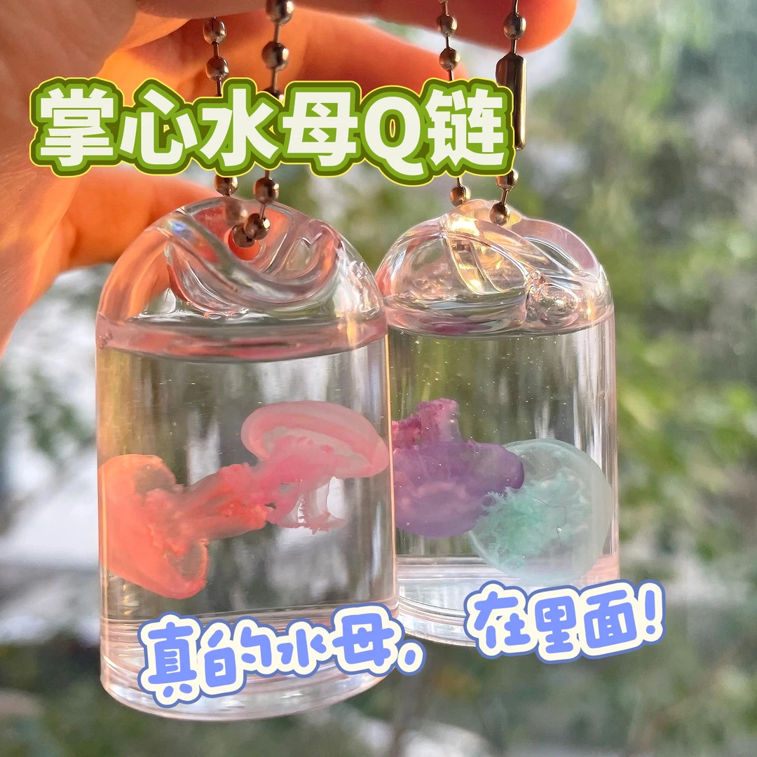 掌心水母Q链·真水母标本挂件赤月水母钥匙挂件学生书包链【非活体】
