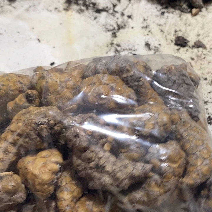 吊坠文玩核桃东北东北特产44