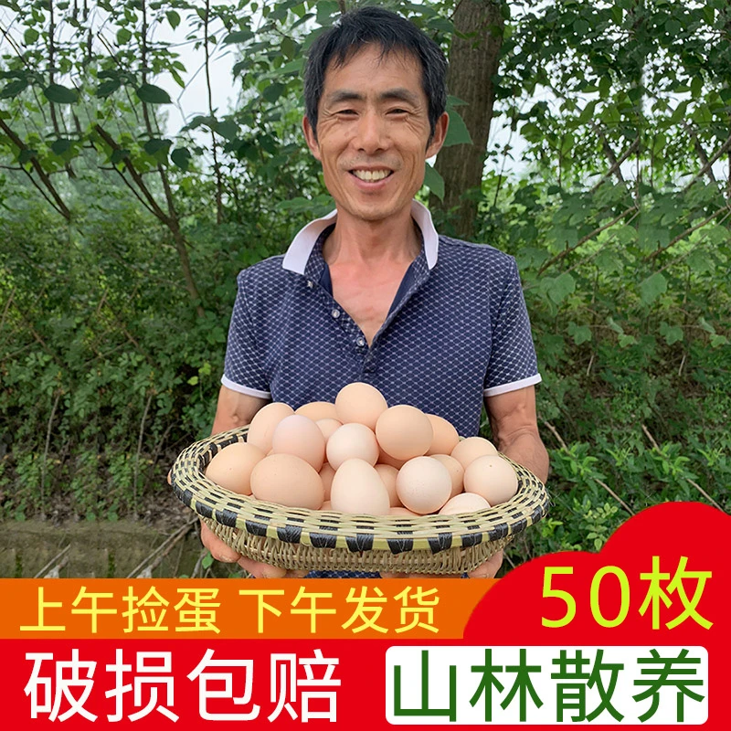 田农肴【50枚甄选】农家土鸡蛋山林散养谷物喂养新鲜鸡蛋现捡现发