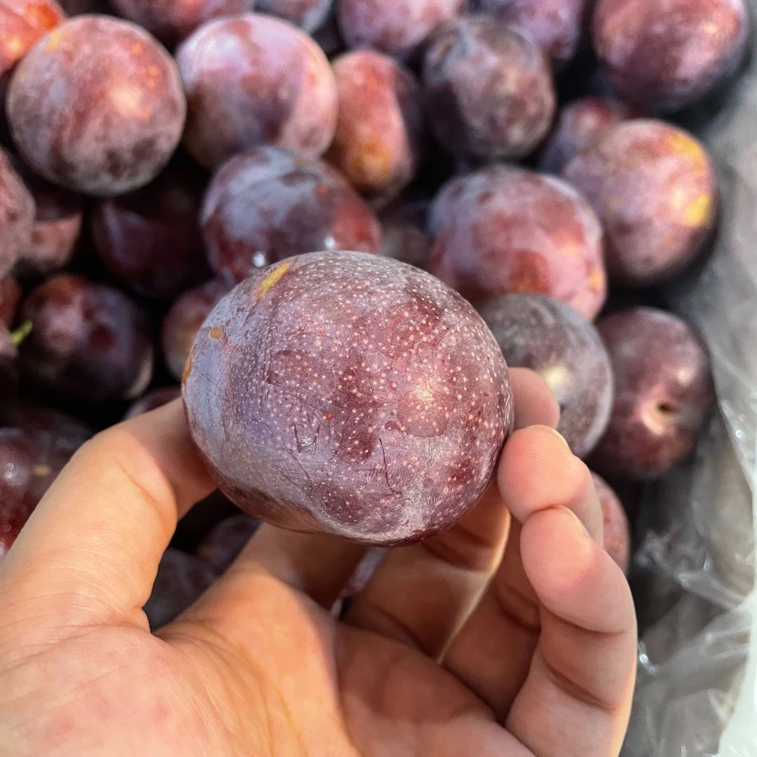 蜜甜李｜爆汁，鲜甜口