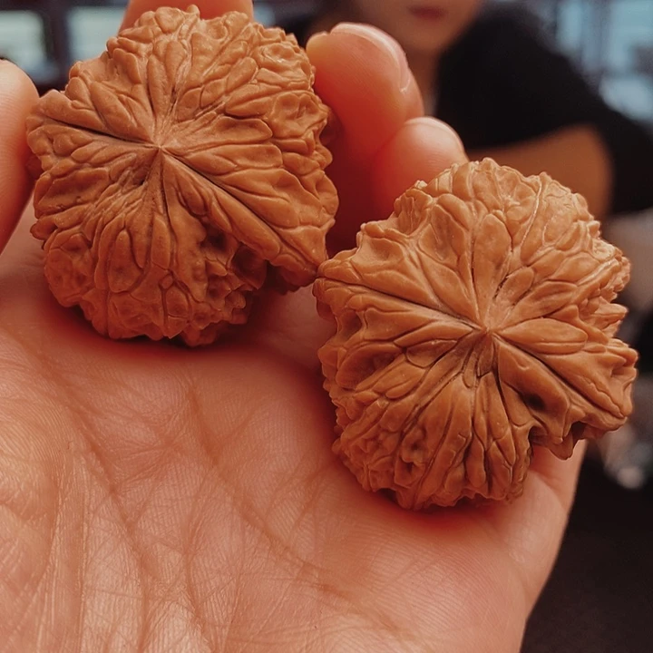 核桃38尺暴雪核桃