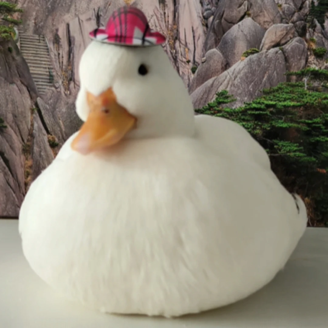 S级赛级网红柯尔鸭宠物鸭可爱好养纯种柯尔鸭柯尔鸭苗