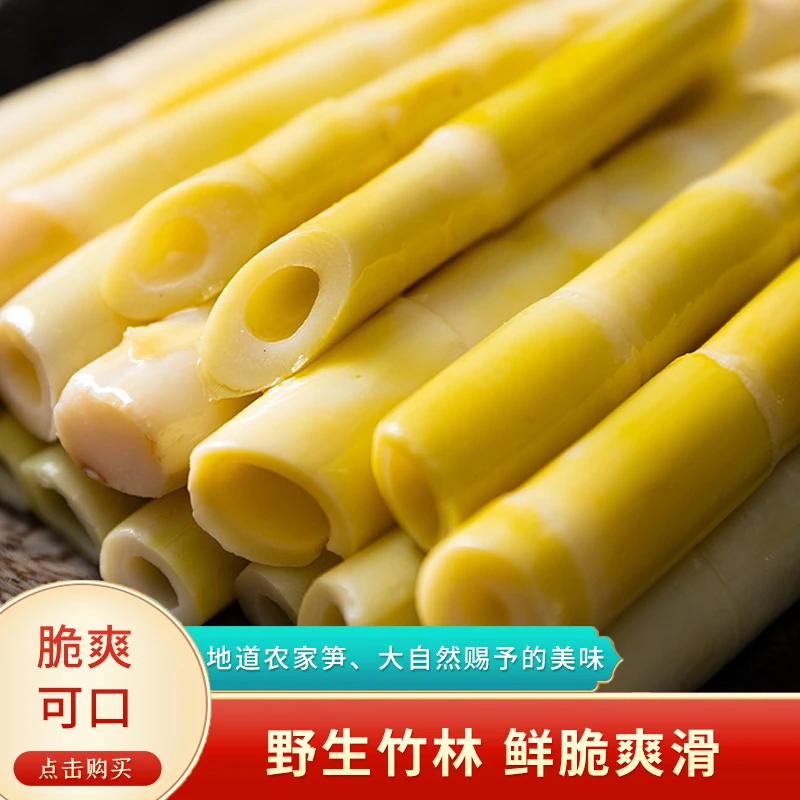 重庆石柱高山野生刺竹笋