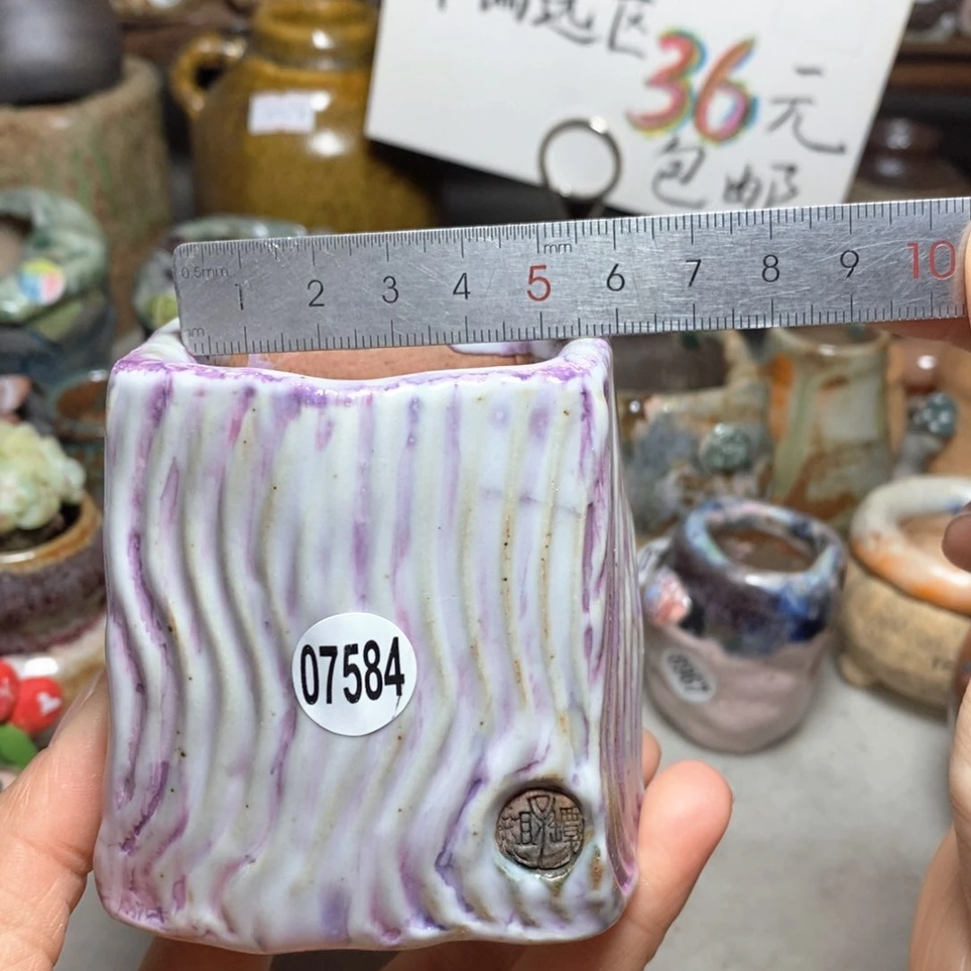 花盆拍3送一个小礼物