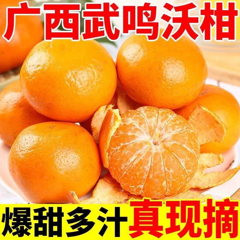 沃柑广西正宗超甜武鸣沃柑当季新鲜水果现摘柑橘桔子橘子鲜甜多汁