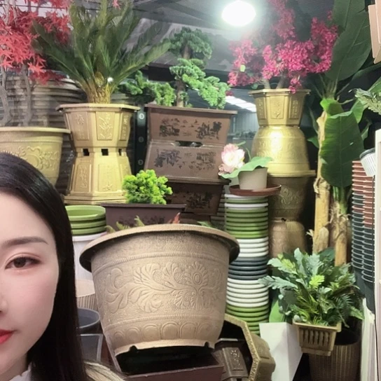 复合凤纹50花盆一个有孔