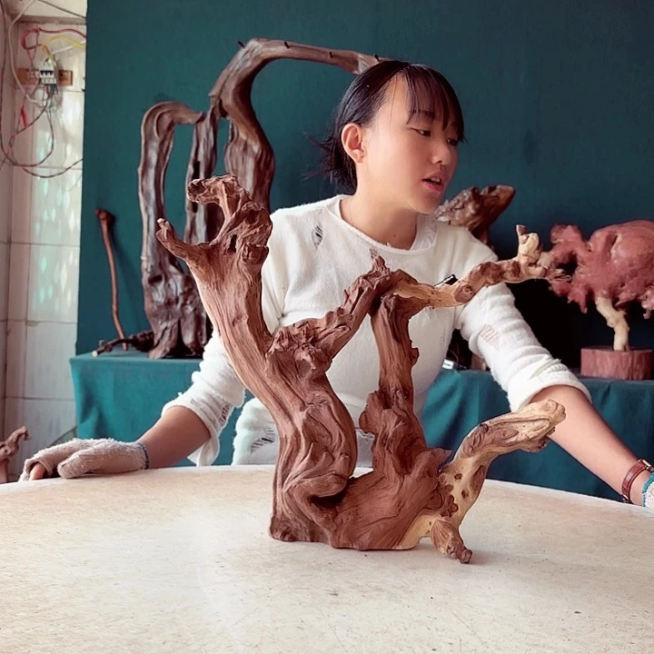 黑果木耽*743金丝红木羊蹄甲半成品